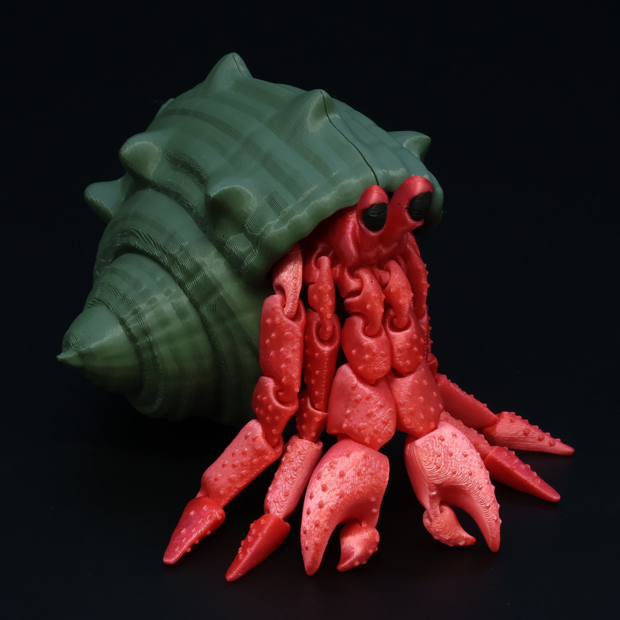 Hermit Crab