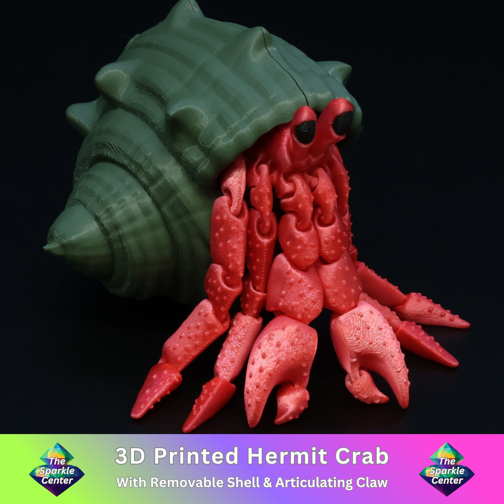 Hermit Crab