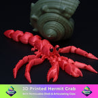 Hermit Crab