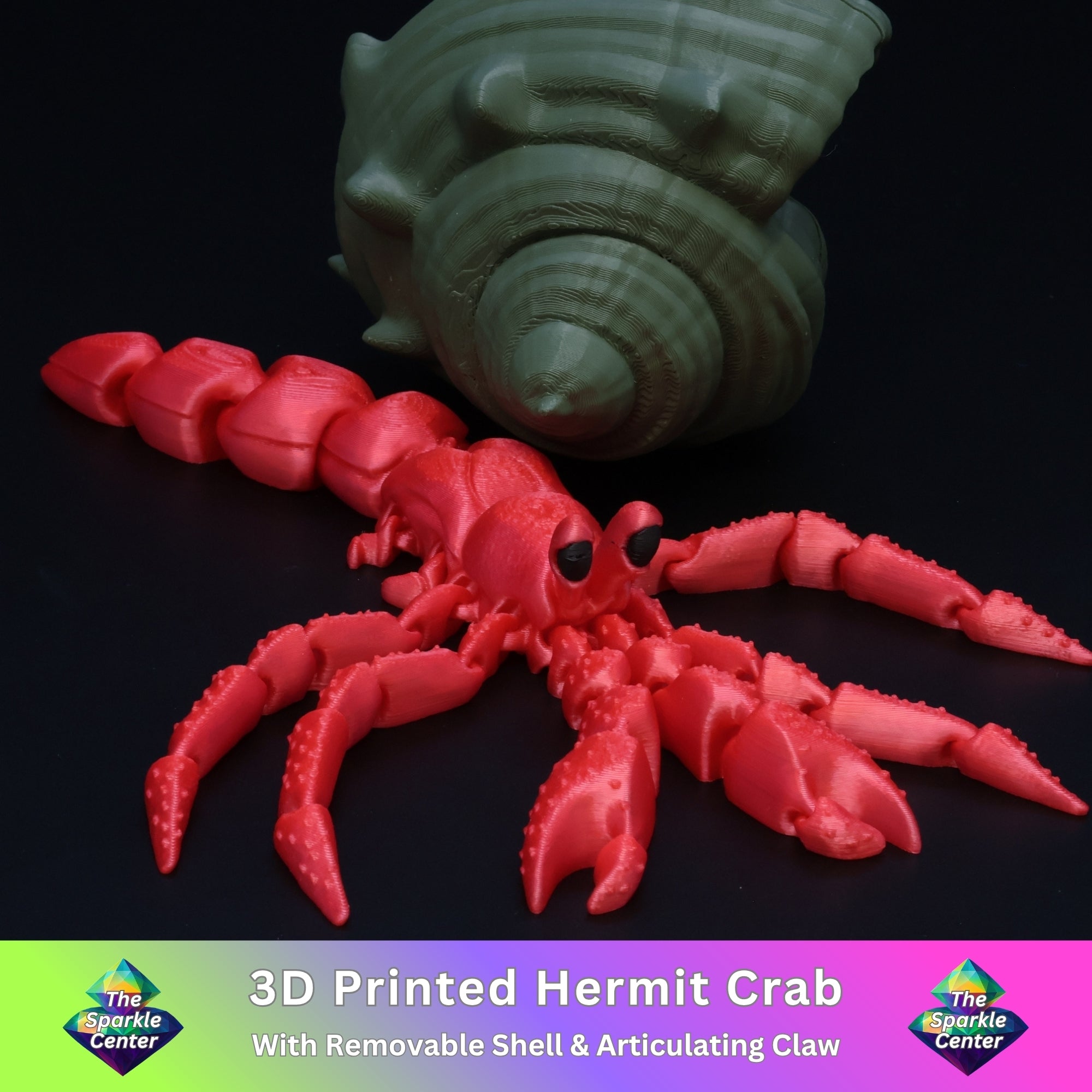 Hermit Crab
