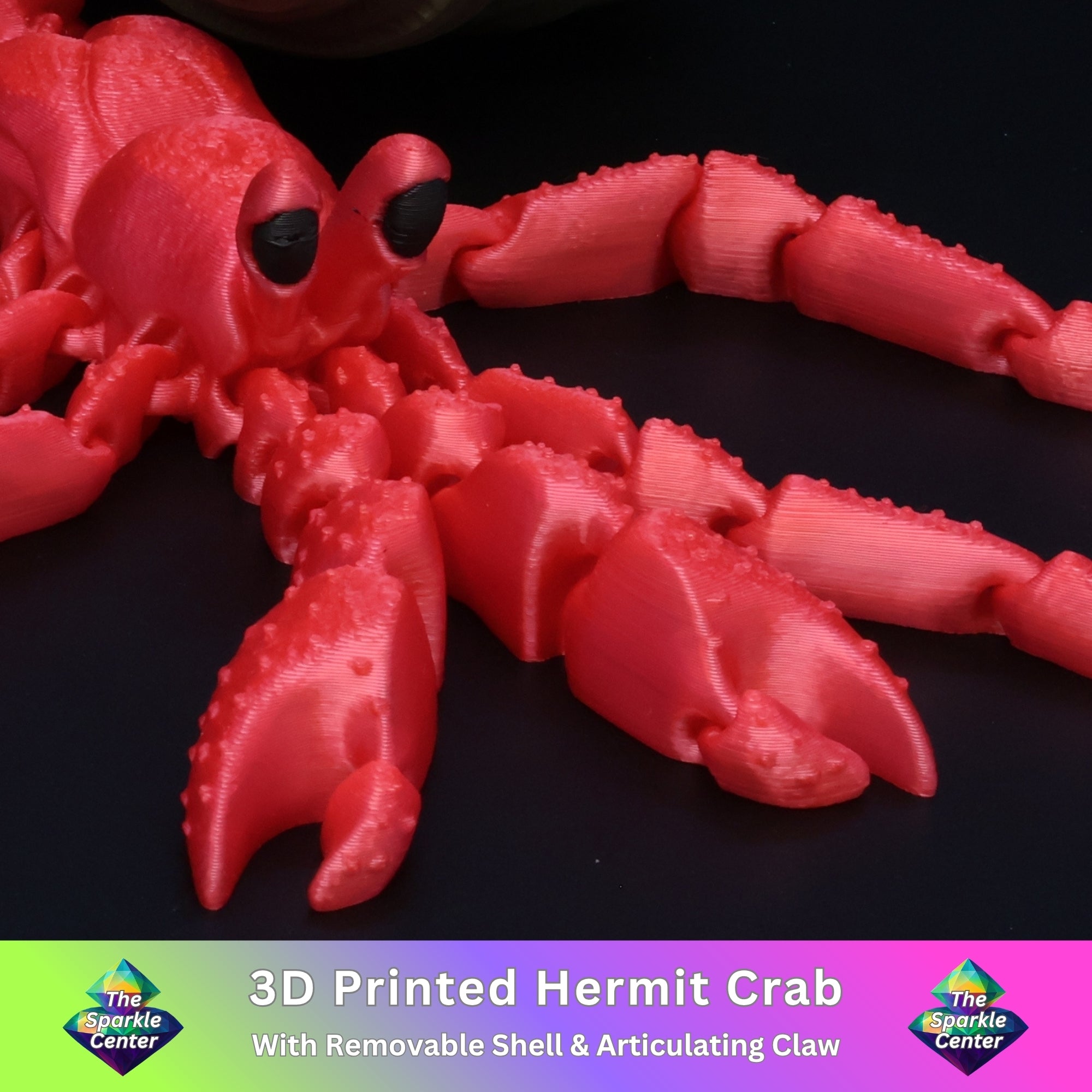 Hermit Crab