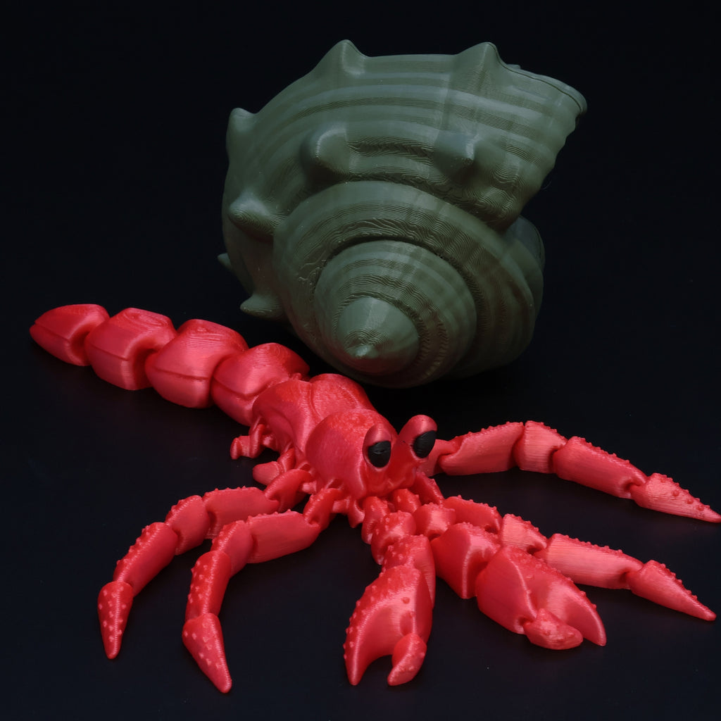 Hermit Crab
