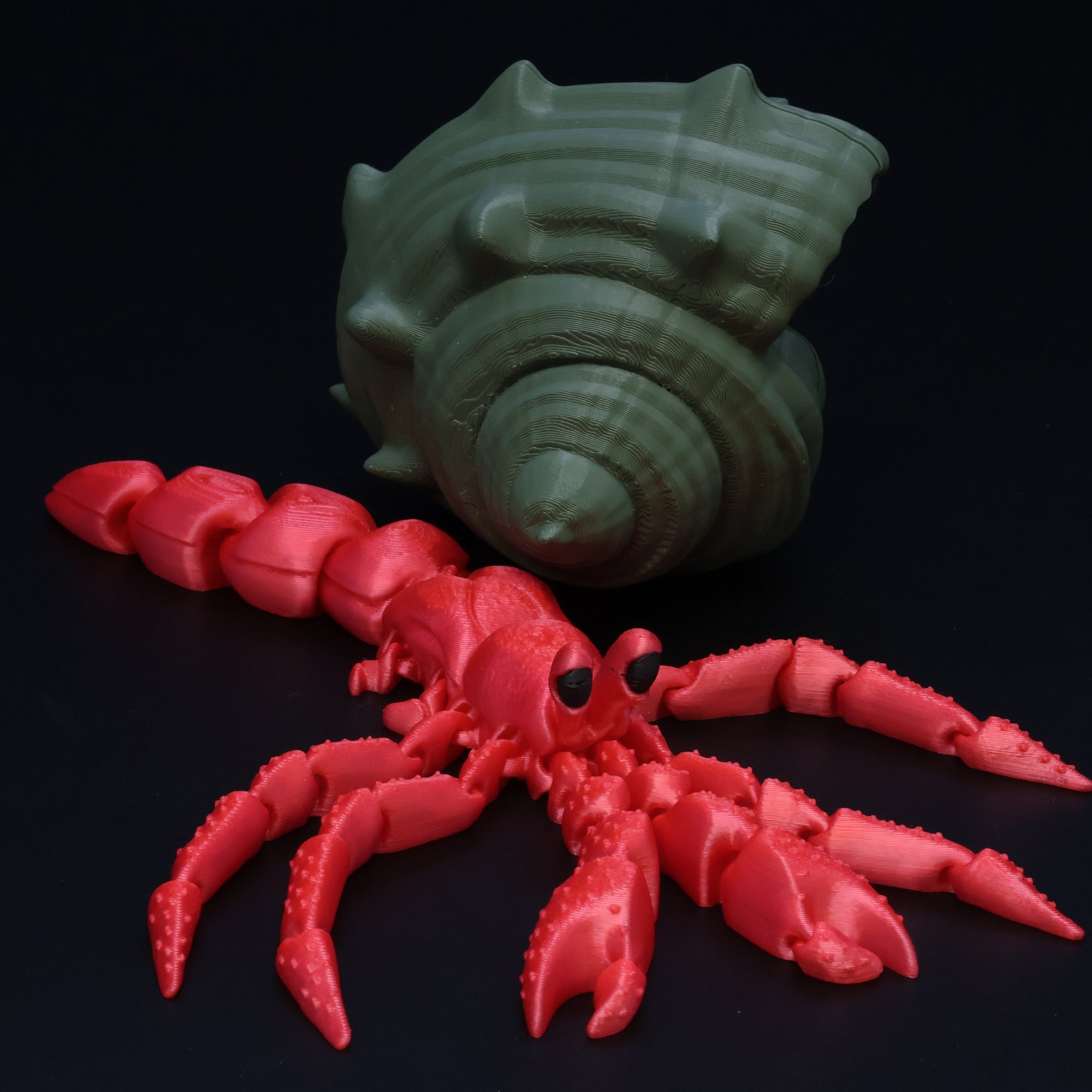 Hermit Crab