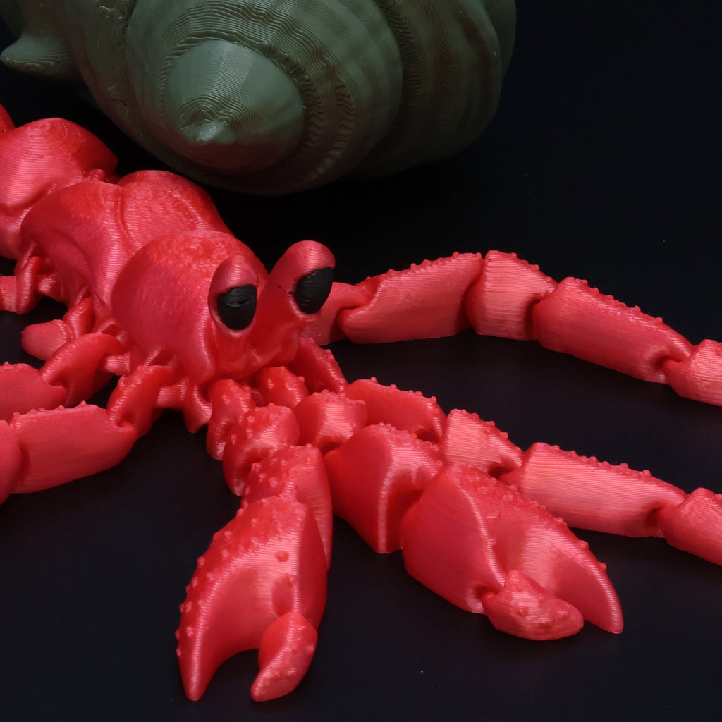Hermit Crab