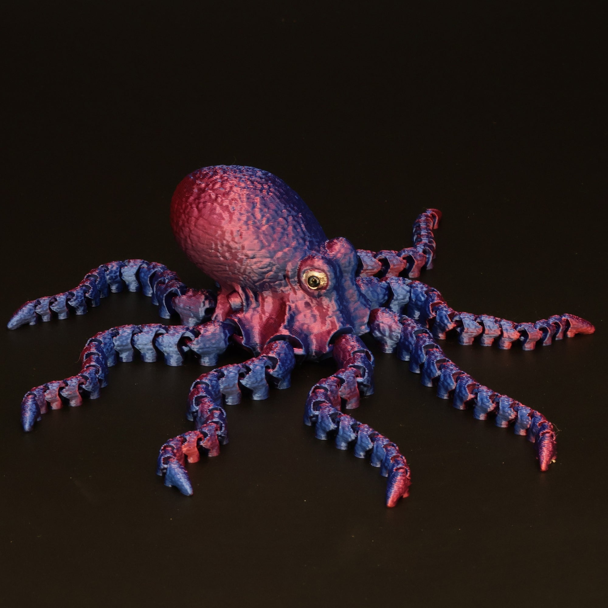 3D Printed Octopus w/ Real Eyes